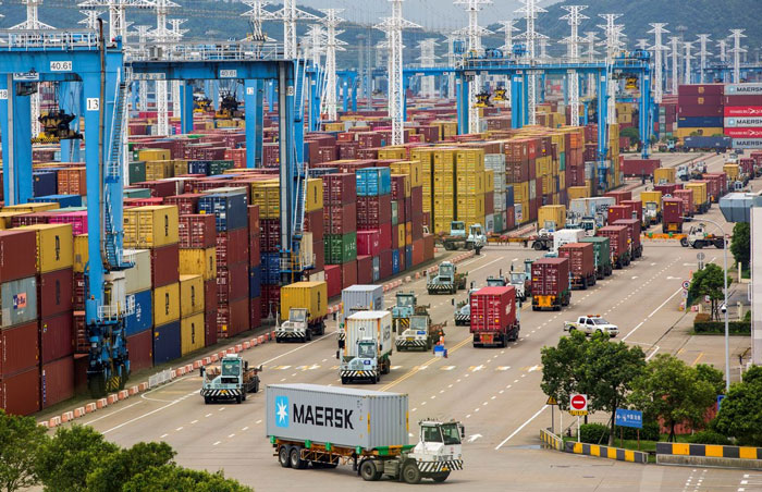 Những thách thức mà doanh nghiệp logistics thường gặp phải khi tự thực hiện khai báo hải quan